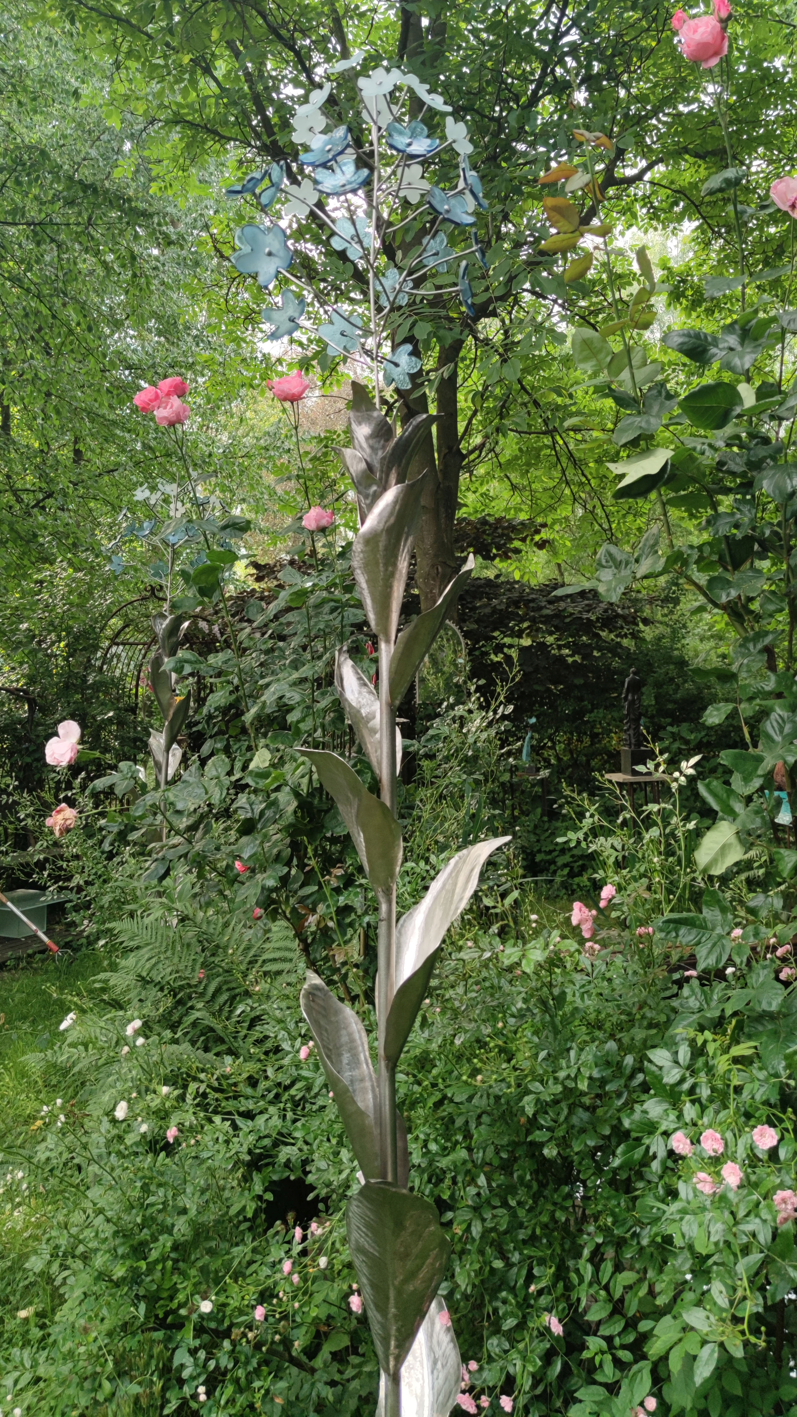 Artists/Images/bjane cowie_image_vitex doniana flower_detail.jpg
